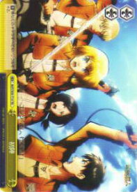 card513986-series384691-rarity557066