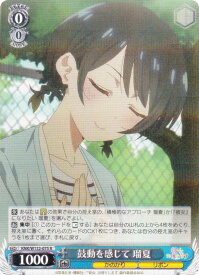 card516426-series387280-rarity557285