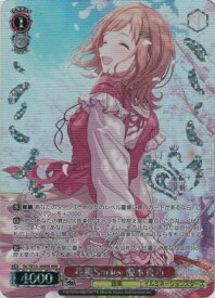 card517600-series388498-rarity560929