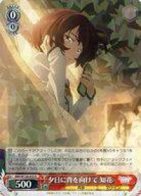 card519130-series390039-rarity557285