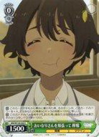 card519155-series390039-rarity557243