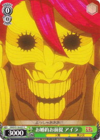 card520648-series391478-rarity557243