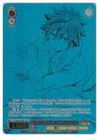 card521879-series392838-rarity557254