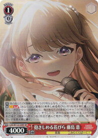 card522197-series393105-rarity557104