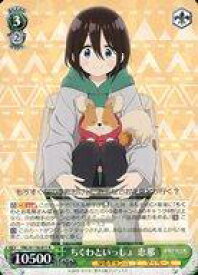 card523821-series394692-rarity557285