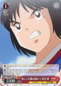 card524677-series395705-rarity557243