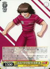 card524783-series395705-rarity557243