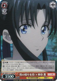 card525845-series396964-rarity557086