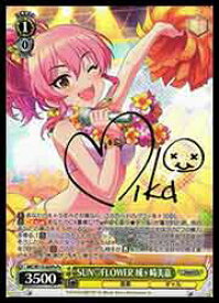 card526137-series397016-rarity566176