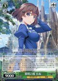 card526556-series397487-rarity557275