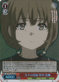 card527734-series398852-rarity557104