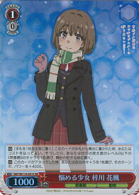 card527804-series398852-rarity557104