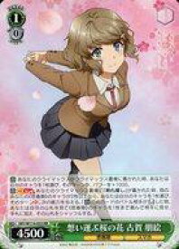 card527816-series398852-rarity557275