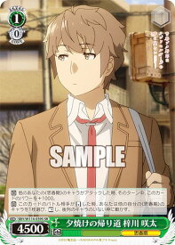 card527828-series398852-rarity557104