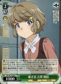 card527830-series398852-rarity557246