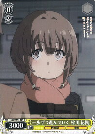 card527842-series398852-rarity557243