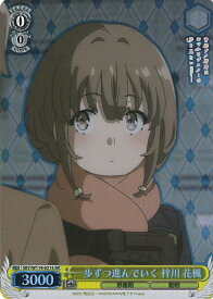 card527842-series398852-rarity557104