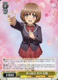 card527901-series398852-rarity557275