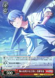 card528903-series399992-rarity557104