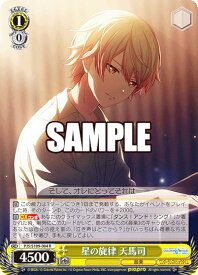 card522735-series399992-rarity557285