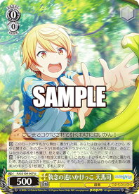 card529004-series399992-rarity557246