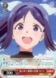 card529663-series400857-rarity557066