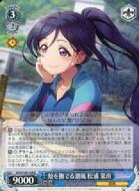 card529723-series400911-rarity557285