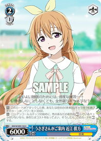 card529805-series401037-rarity557243