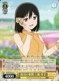 card529894-series401037-rarity557243