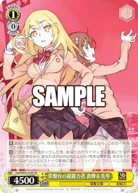 card531196-series402425-rarity557104