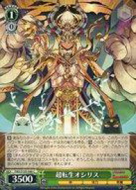 card532847-series404047-rarity557243