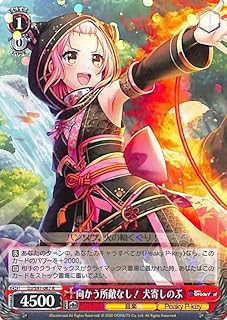 card532975-series404176-rarity557285