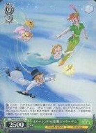 card533492-series404699-rarity557246