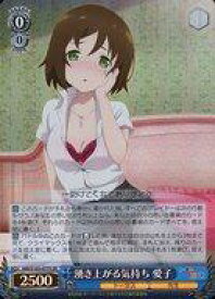 card534199-series405460-rarity557104