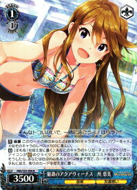 card558183-series430132-rarity557285