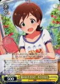 card558268-series430132-rarity557246