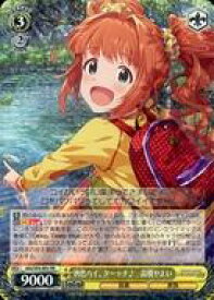 card558376-series430341-rarity557275