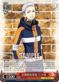 card558775-series430725-rarity557104