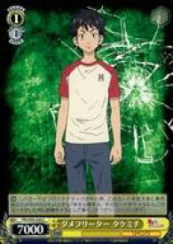 card558806-series430725-rarity557243