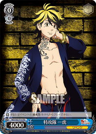 card558858-series430905-rarity557066