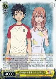 card558880-series430725-rarity557275