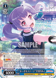 card559582-series431518-rarity557285