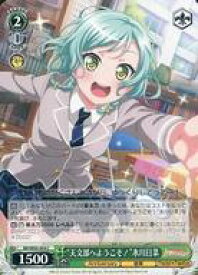 card559617-series431518-rarity557243