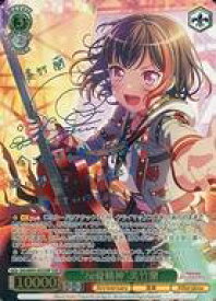 card559672-series431518-rarity557254