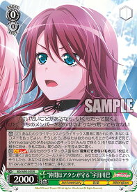 card559678-series431518-rarity557285