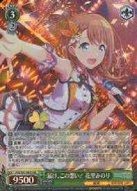 card559922-series431802-rarity557104