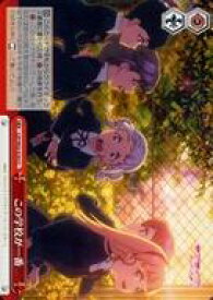 card560958-series432968-rarity557252