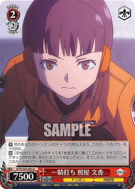 card561758-series433780-rarity557246