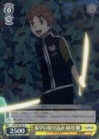 card561827-series433780-rarity557285