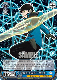 card561862-series433933-rarity557104